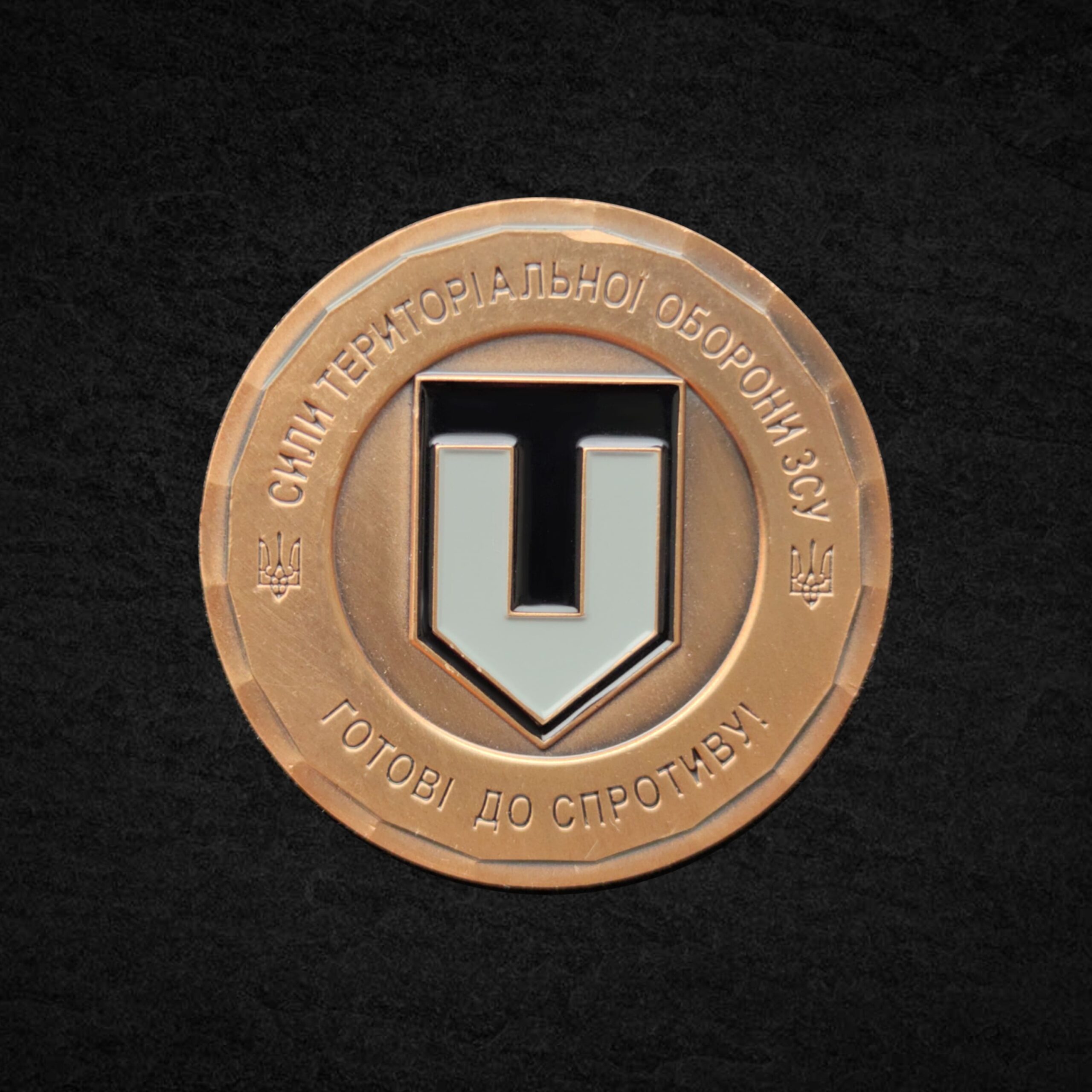 Монета ТРО ЗСУ Монета коін ТРО ЗСУ - Зображення 1