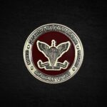 Монета коін ДШВ ЗСУ (кругла)