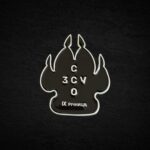 Монета коін до 9-ї річниці ССО - Зображення 2